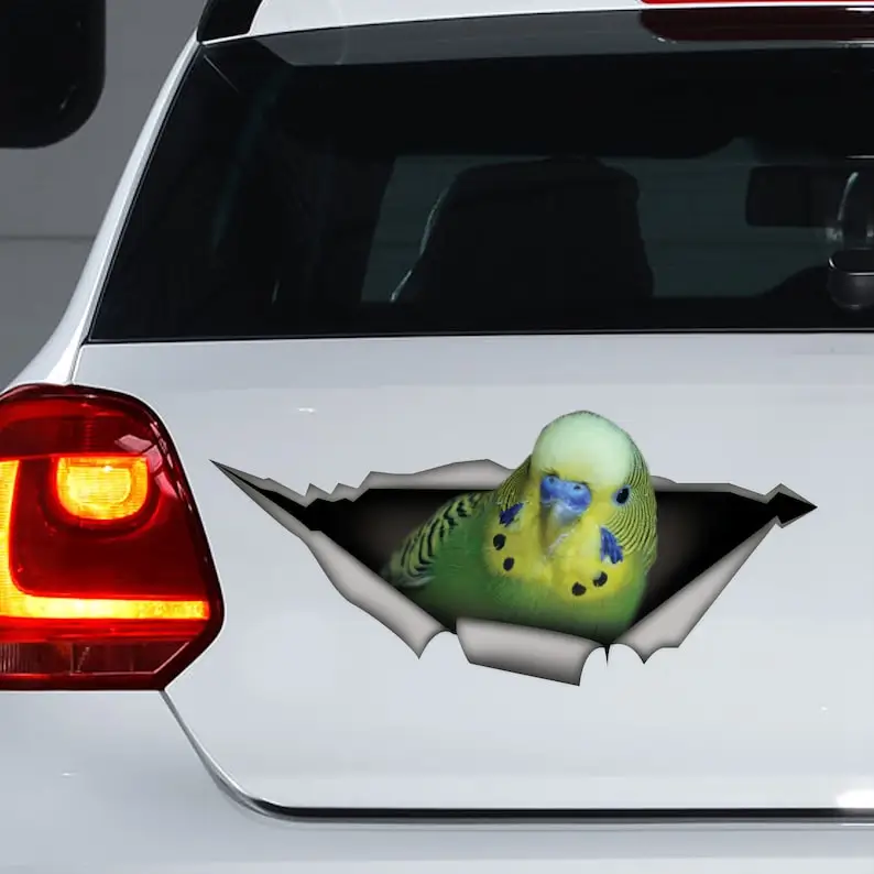 Green Budgie car decal, Green Budgie sticker, budgie decal