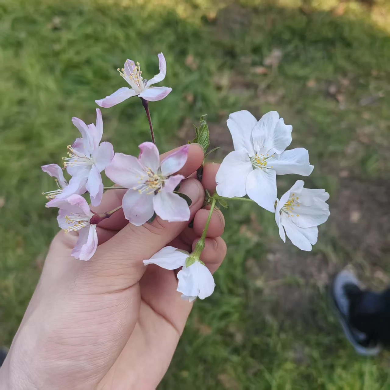 

French White Long-sleeved Thin Shirt Women With High-end Temperament Top