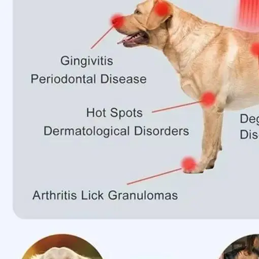 

All-in-One Class 4 Laser Therapy Machine for Home and Clinic Treats Human Arthritis, Back Pain and Pet Animal Injuries, Sprains