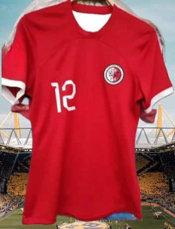 

3D Printed Summer Breathable and Comfortable Football T-shirts for Adult Boys and Children's Sports Training in 2025 KLJ
