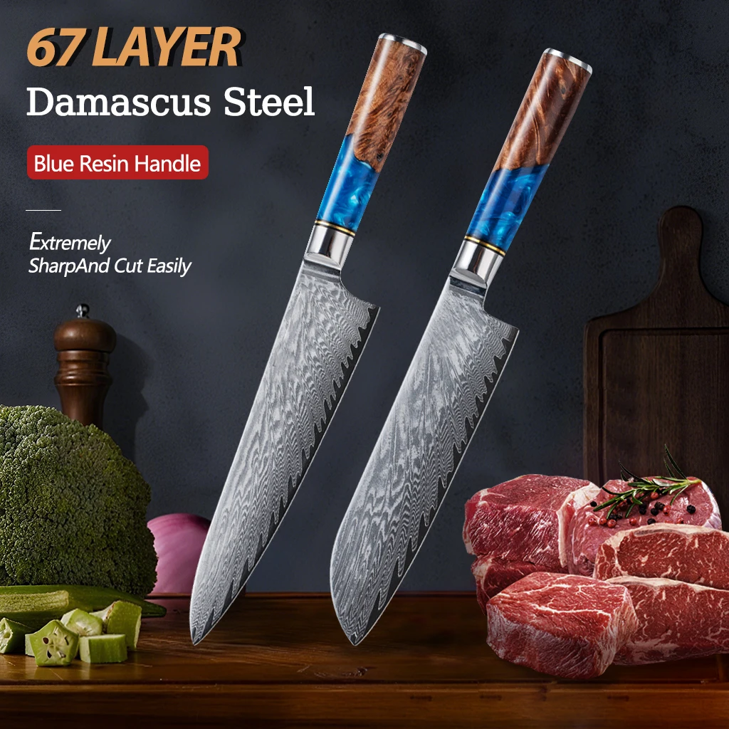 

Damascus Knife 2 Pieces Japanese Kitchen Knife with VG10 Steel Kitchen Chef's Knife with Blue Resin Handle