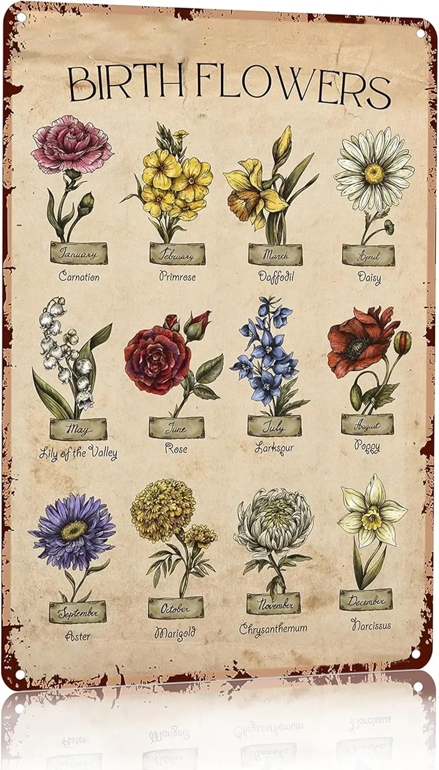 Bestylez Mothers Day Gifts for Grandma and Mom Vintage Gardening Signs Birth Month Flower Tin Sign Home Garden Greenhouse Living