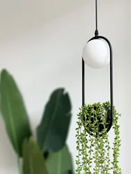 Nordic DIY Led Plant Pendant Lights Flower Pot Hanging Lamp Living Room Dining Room Restaurant Lighting Fixtures Home Decor