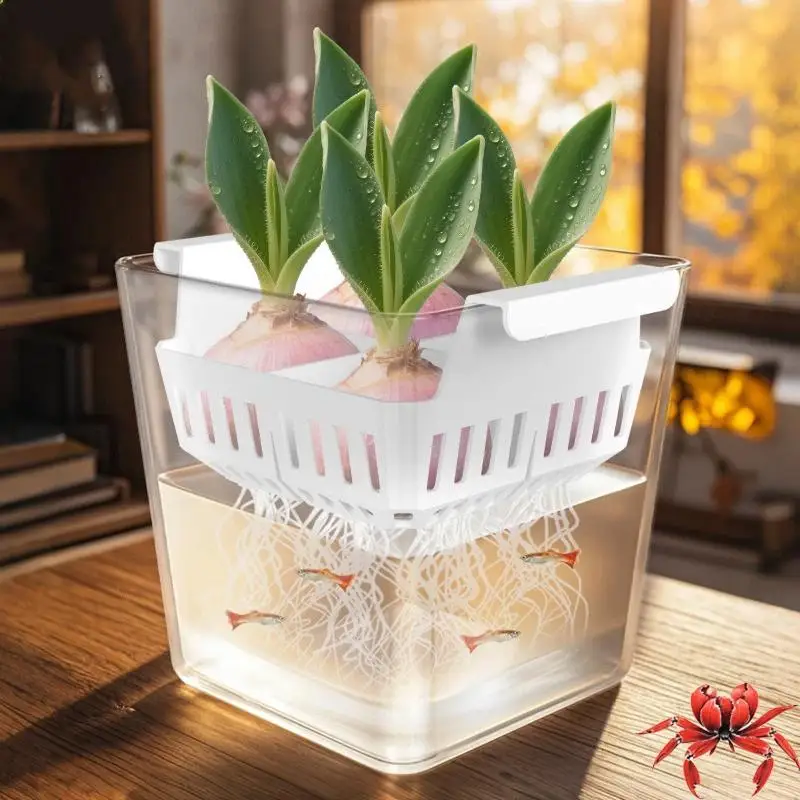 Seed Hydroponic Flowerpot 4 Holes Soilless Flower Pot Home Decoration Hydroponic Containers With Breathable Support Basket
