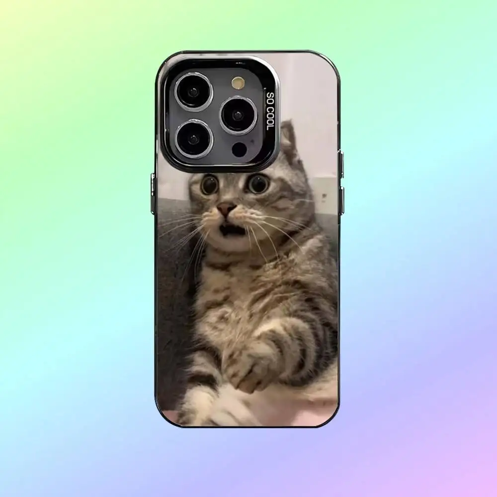 حافظة هاتف مضحكة للقطط الأليفة لهاتف iPhone17,16,15,14,13,12,11 غطاء داخلي مطلي بالفضة #4