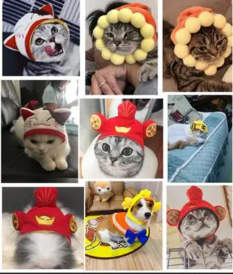 Pet Headdress Halloween Cosplay Hat Multiple Styles Cat Teddy Holiday Dress Up Sun Trick Fortune Headdress Wig Cat Headgear Hat