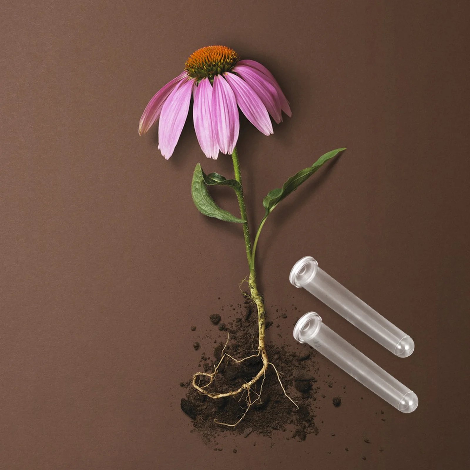 Tubes d'eau floraux en plastique transparent, 50 pièces, conception étanche pour arrangements de fleurs fraîches et hydratation à tige unique