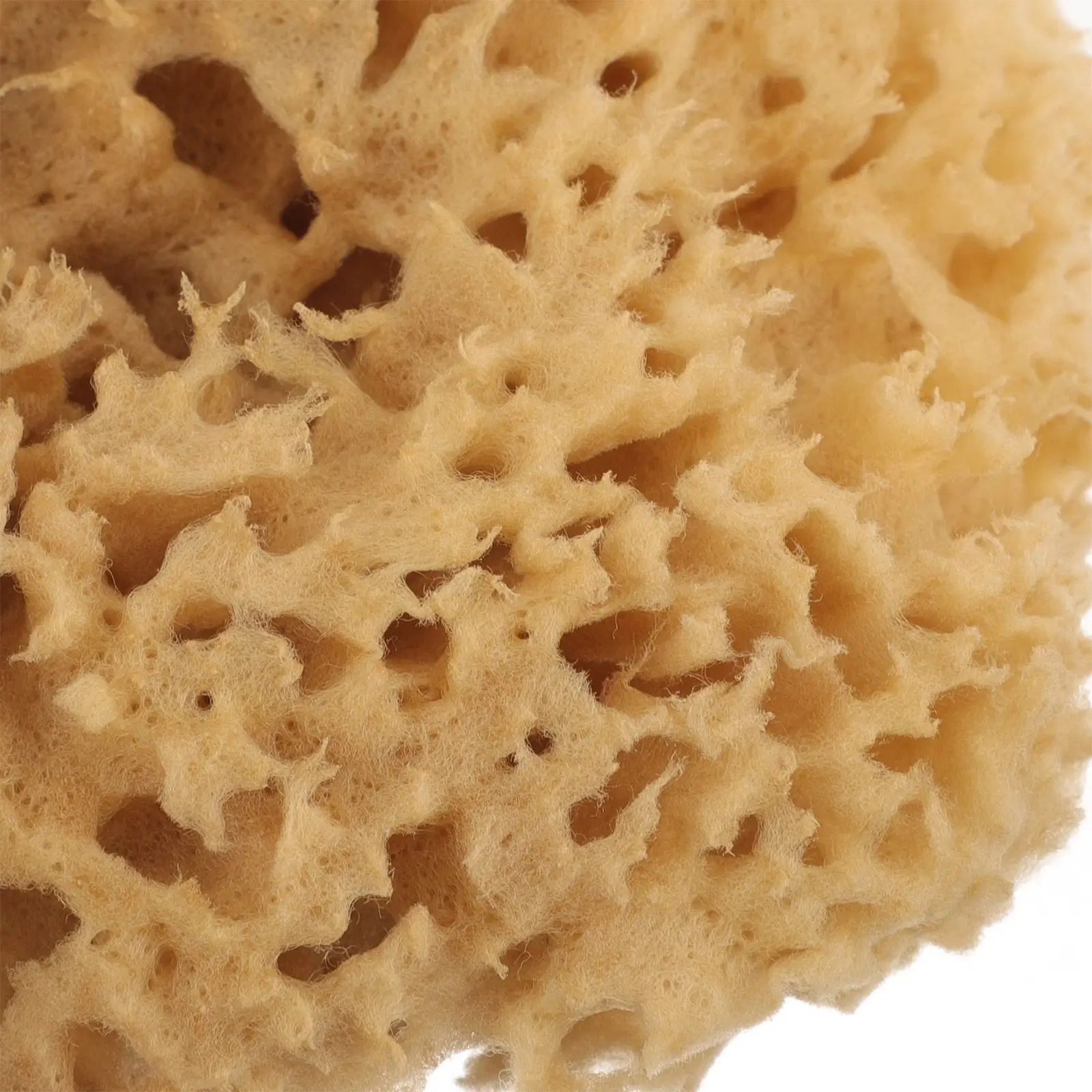 

Natural Bath Ball Honeycomb Sponge Shower Body Scrubber Algae Bathing Skin Accessory Baby Cleaning Portable Spa