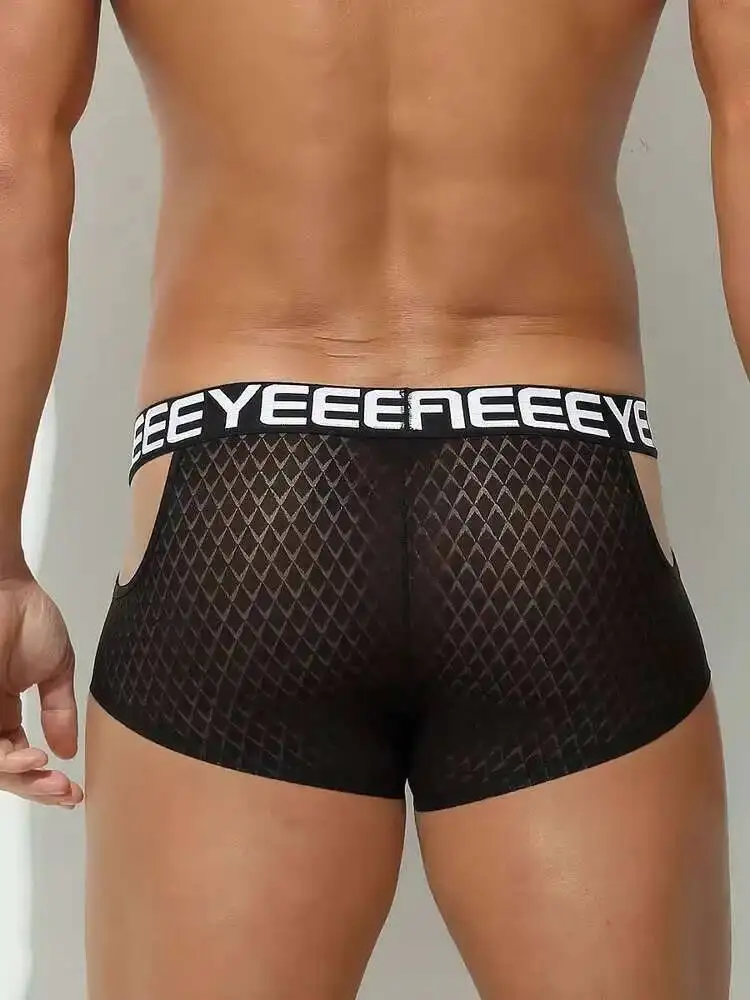 See Through Men Tight Lingerie Panties Plus Size Underwears Sexy Hollow Out High Waist Briefs Shorts
