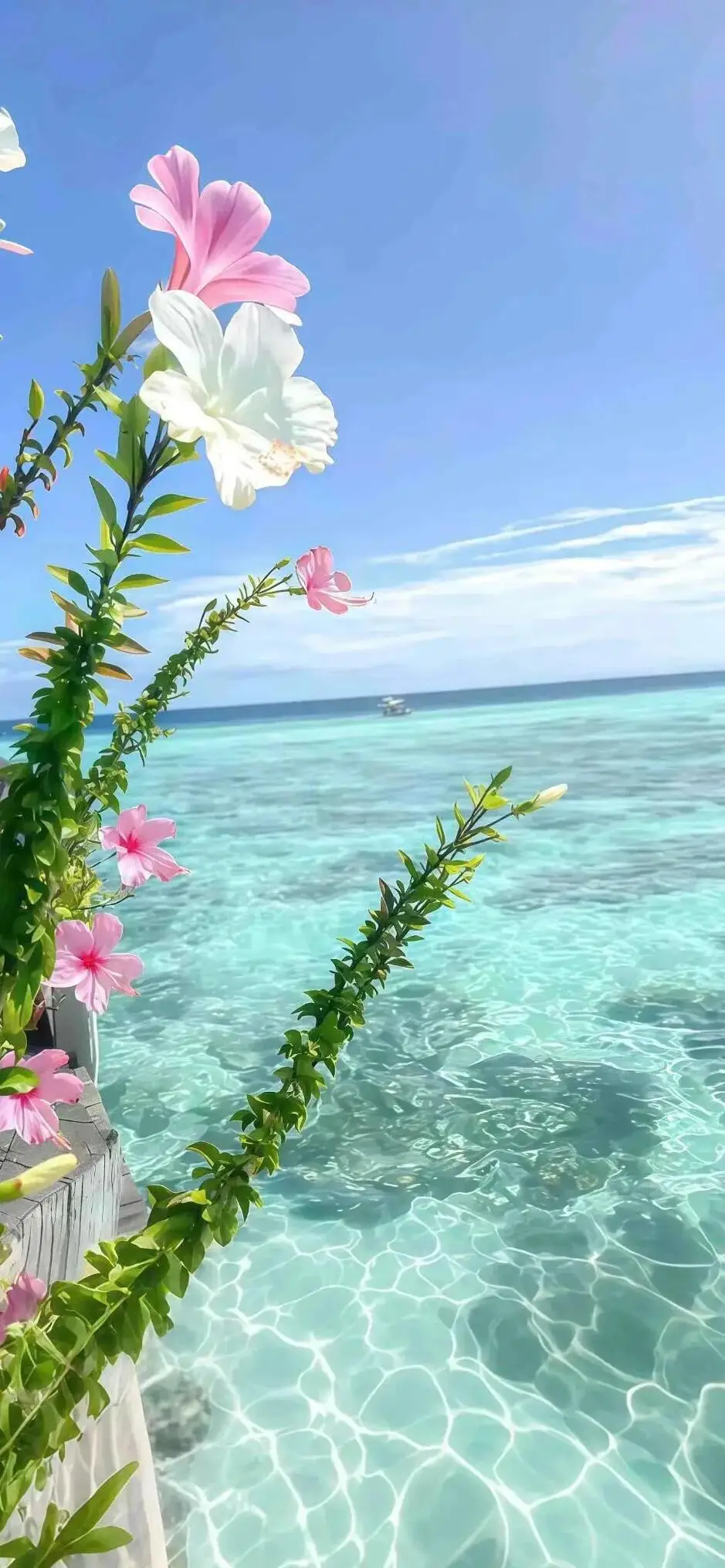 Android 13 Snapdrag…