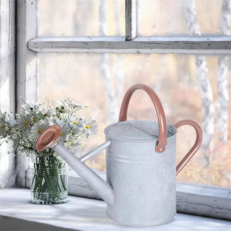 Dual-purpose iron water bottle, household watering, gardening, water bottle nozzle removable
