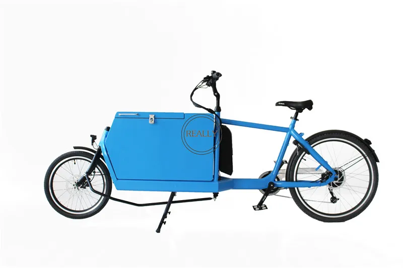 

Closed Body Type Electric Tricycle Cargo Two Wheels Cargo Bike Electric Tricycles For Carry Children and Carry Goods