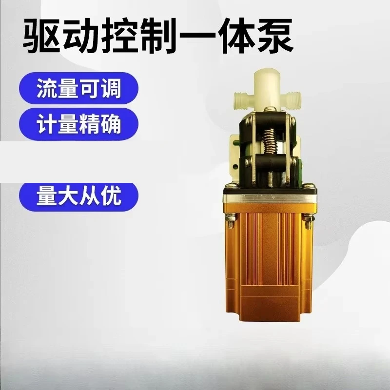 Drive Control Integrated Pump Ceramic Piston Pump,