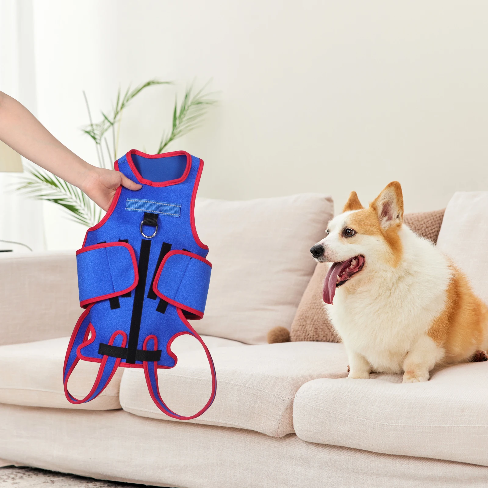 

Pet Suit Service Vest Small Blue for Medium Dogs Back Brace Canine Lumbar Stabilizer Comfortable Chest Harness