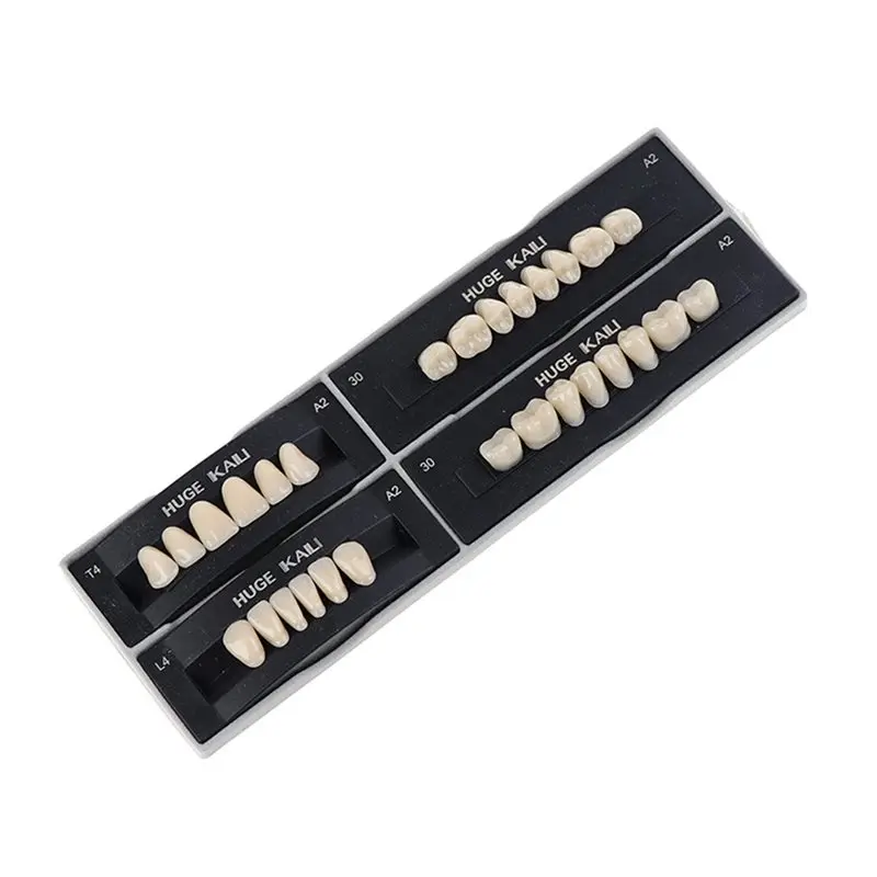 A98E- Tools Full Dentures Artificial Preformed Denture Teeth Materials Synthetic Resin Teeth Plastic Steel