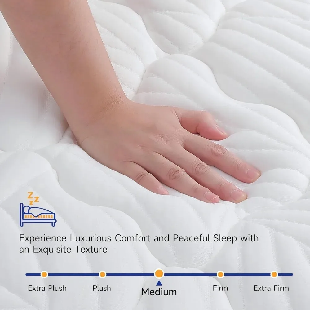 Materasso Queen da 12 pollici in una scatola, materasso ibrido di lusso senza fibra di vetro con molle insacchettate individuali e memory foam –