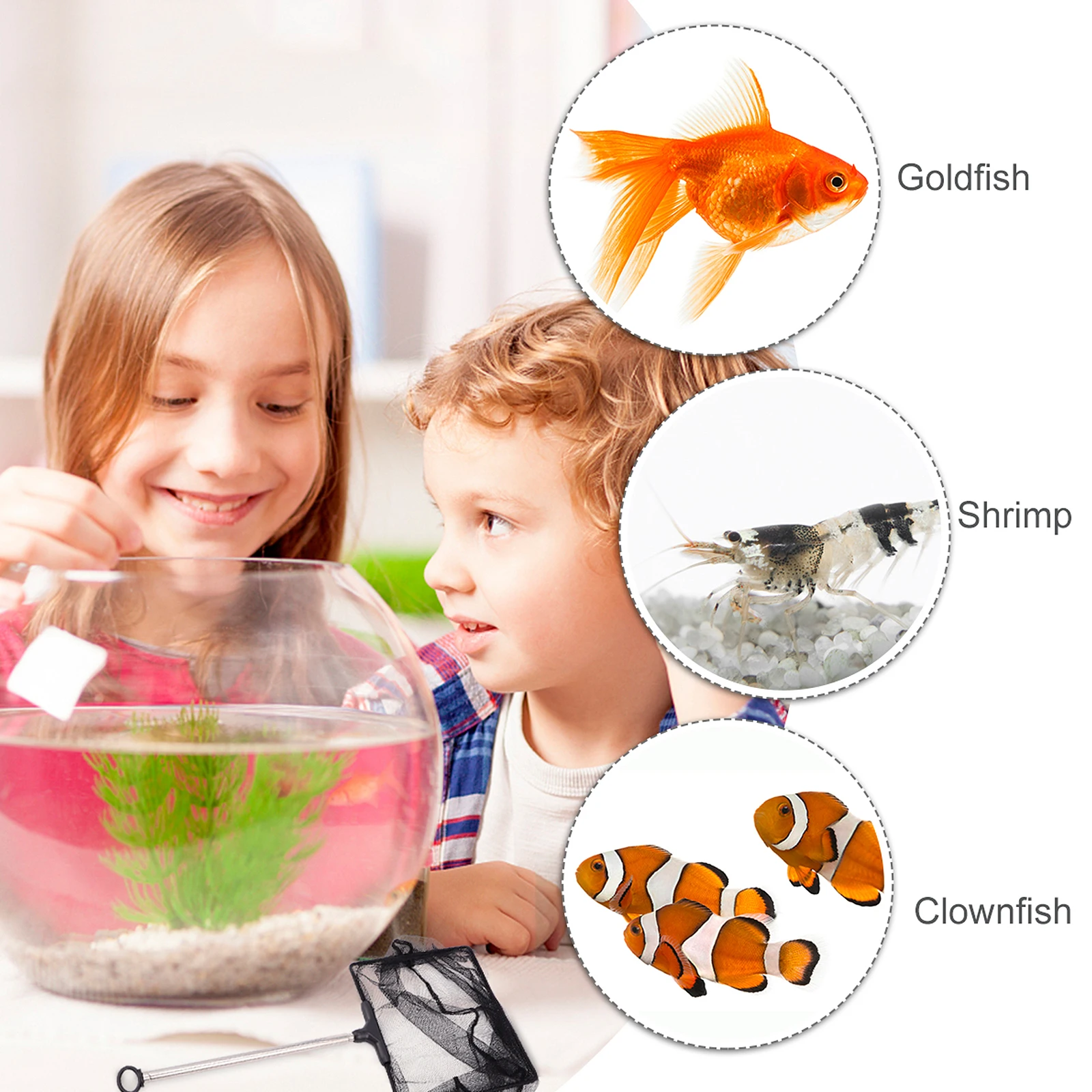 

Stainless Steel Telescopic Fish Net Durable Mesh Aqua Tank Accessories Foldable Long H Aquarium Cleaning Tool