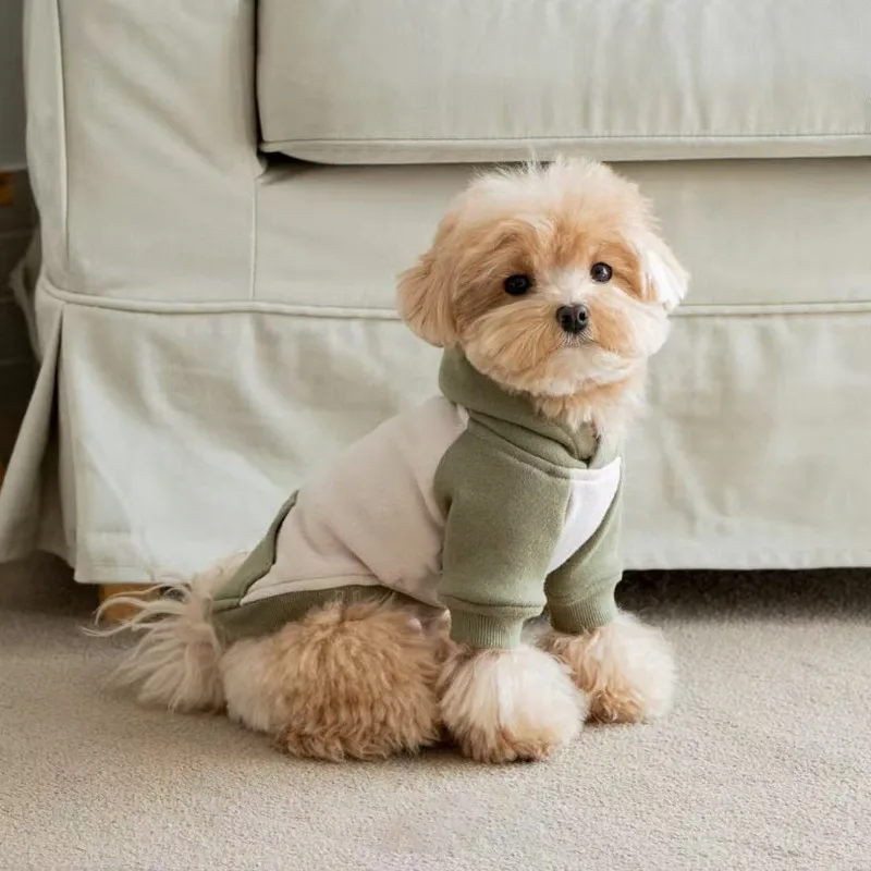 

Fashion Dog Clothing Autumn And Winter Small Pet Clothes Thickening Warm Solid Color Two-Feet Hooded Wweater Casual Pet Products
