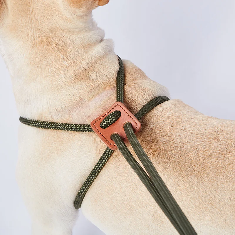 Laisse pour chien à double extrémité tout-en-un réglable SFP, sangle de poitrine pour animal de compagnie, degré de morsure, ULde course en nylon, accessoires pour chiots, 143cm