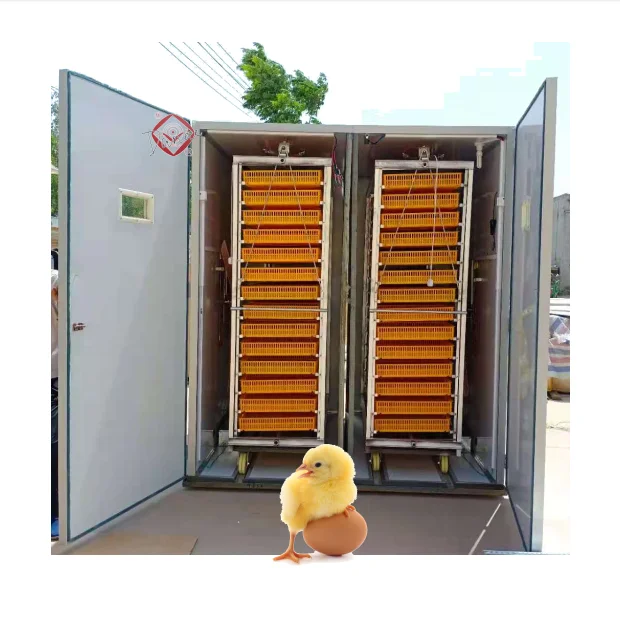 

9856 Egg Incubators /10000 Automatic Egg Incubator Electric Power Egg Hatcher Machine