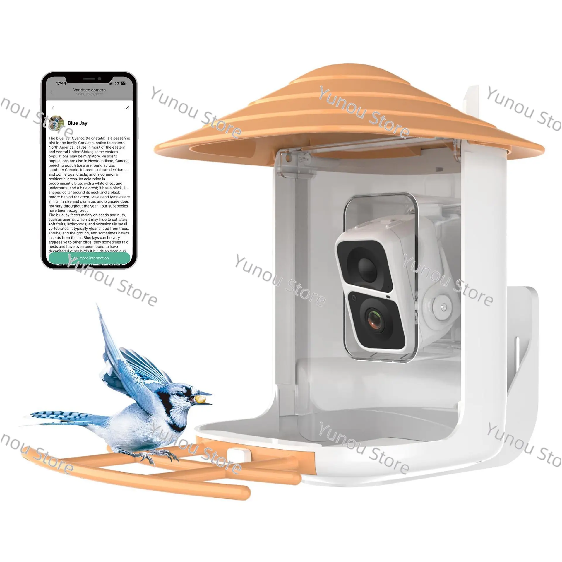 Intelligent Bird Feeder Camera, Solar Cell, Outdoor, Wireless, AI Recognizable