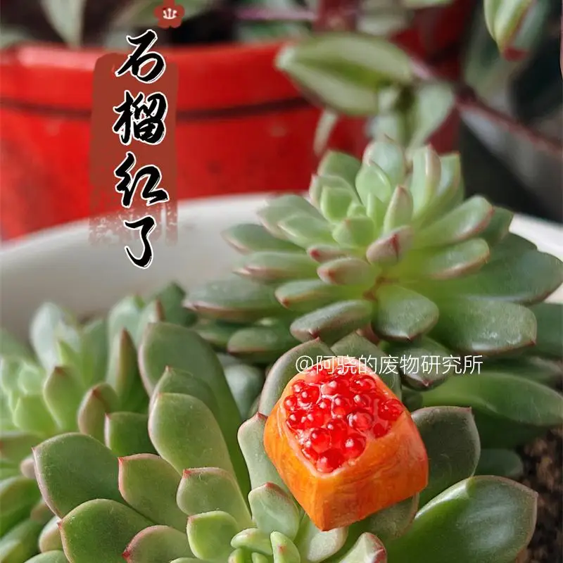 Red Pomegranate, Keycap, Fruit, Cross Axis Mechanical Keyboard Customization
