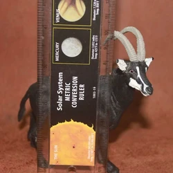 flaw pvc figure model toy cow cattle 3pcs/set