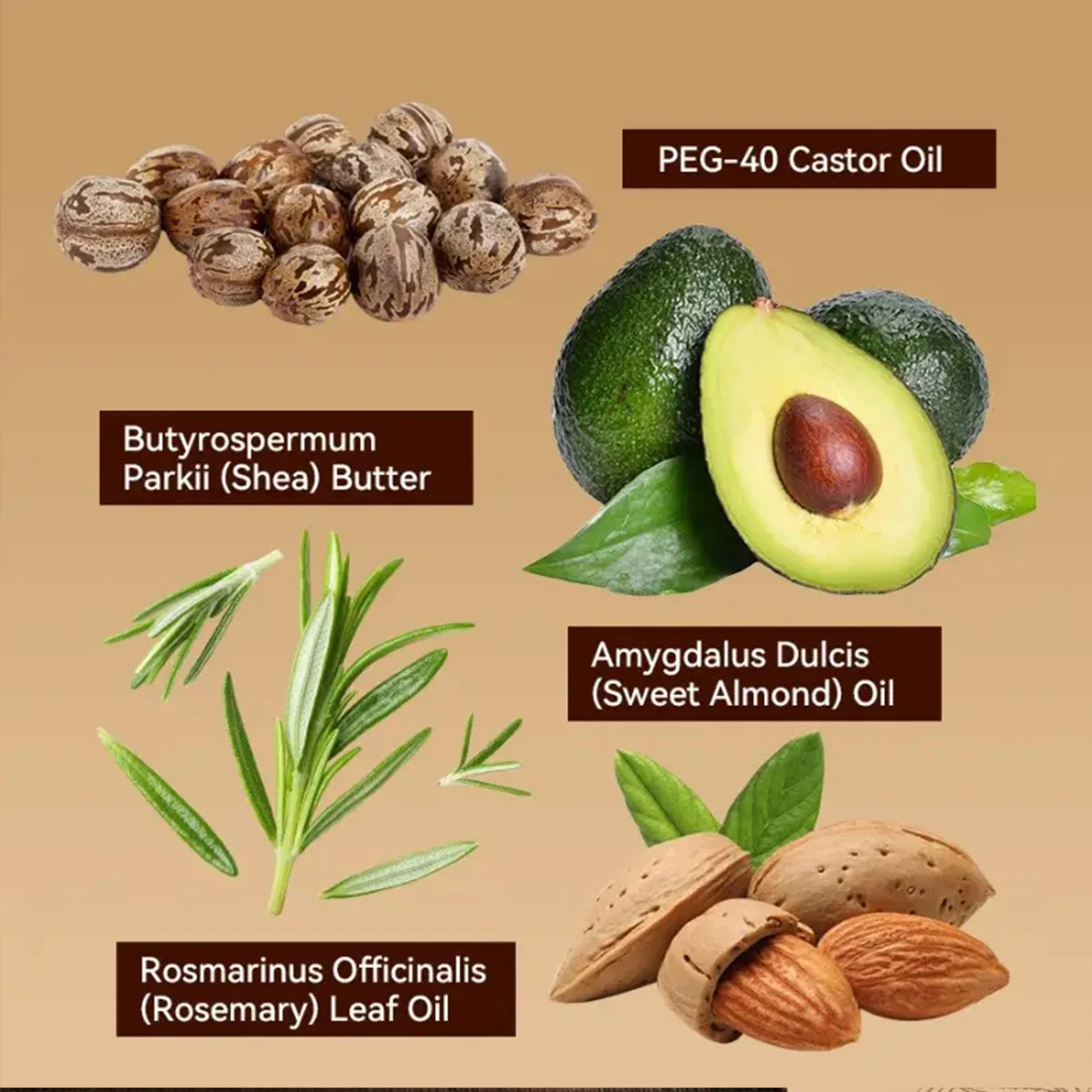 Jamaican Black Castor Hair Mas - Castor Oil Cold Press ulasan dan harga