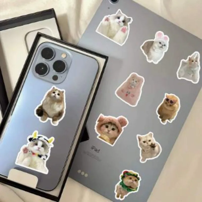 60 zabawnych naklejek, urocze naklejki z kotami, naklejki DIY, do scrapbookingu, na telefon, do bagażu, na deskorolkę, wodoodporne naklejki winylowe