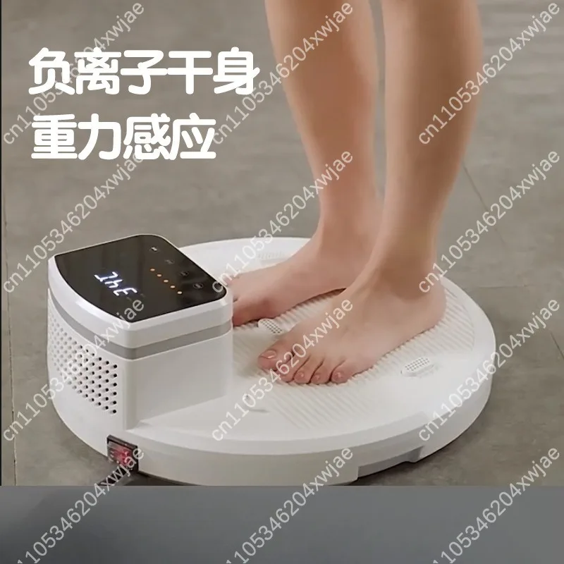 Wall Mounted Body Dryer Heater, Constant Temperature Warm Air Drying Machine for Home Bathroom