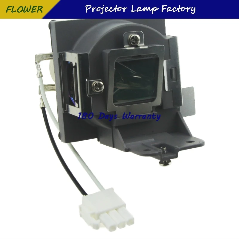

BL-FU190C Compatible Projector lamp with housing for OPTOMA BR320/BR325/DS328/DS330/DX328/DX330/H100/S2010/S2015/S302/S303/W2015