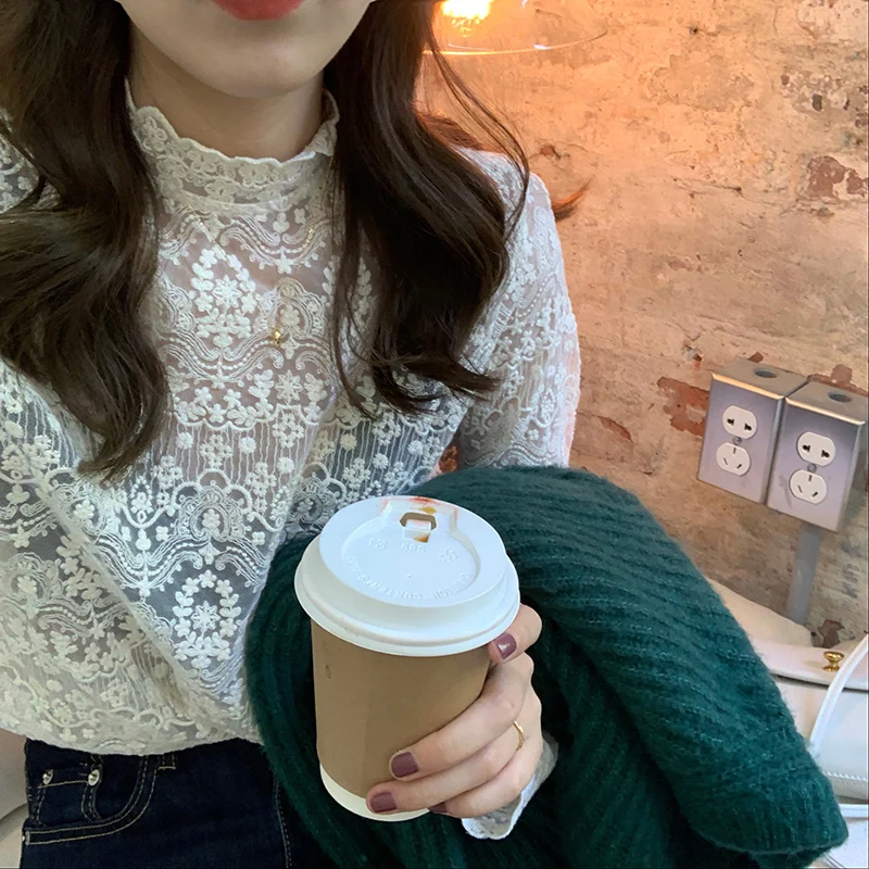 

Elegant Lace Embroidery Thin Long Sleeve High Collar Base Shirt Women's Fashionable Mesh Top Korean Style Straight Cut Commut...