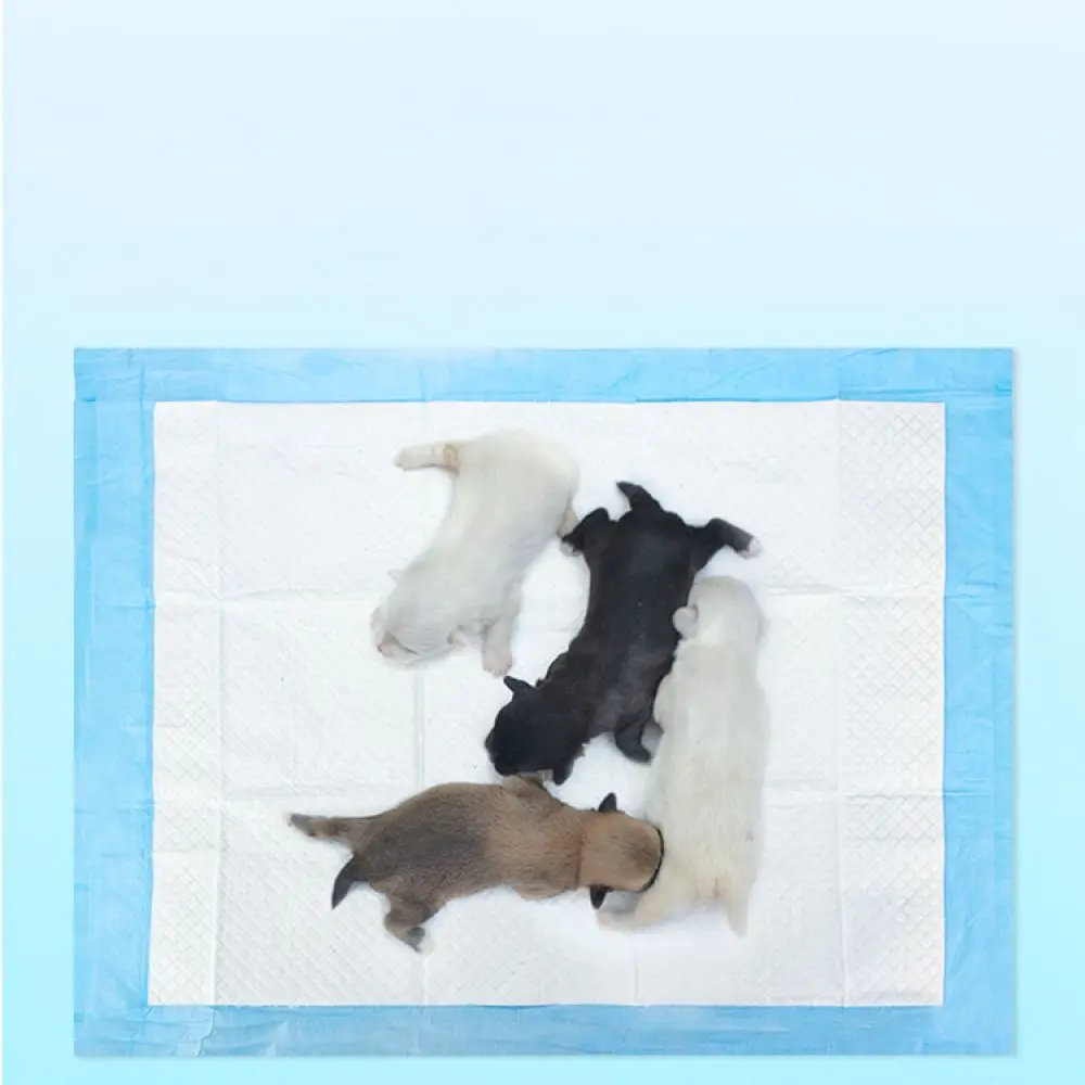 Puppy Training Pads Charcoal Odor Control Pet Diapers Disposable Pee Mats Strong Water Absorption For Dogs And Cats