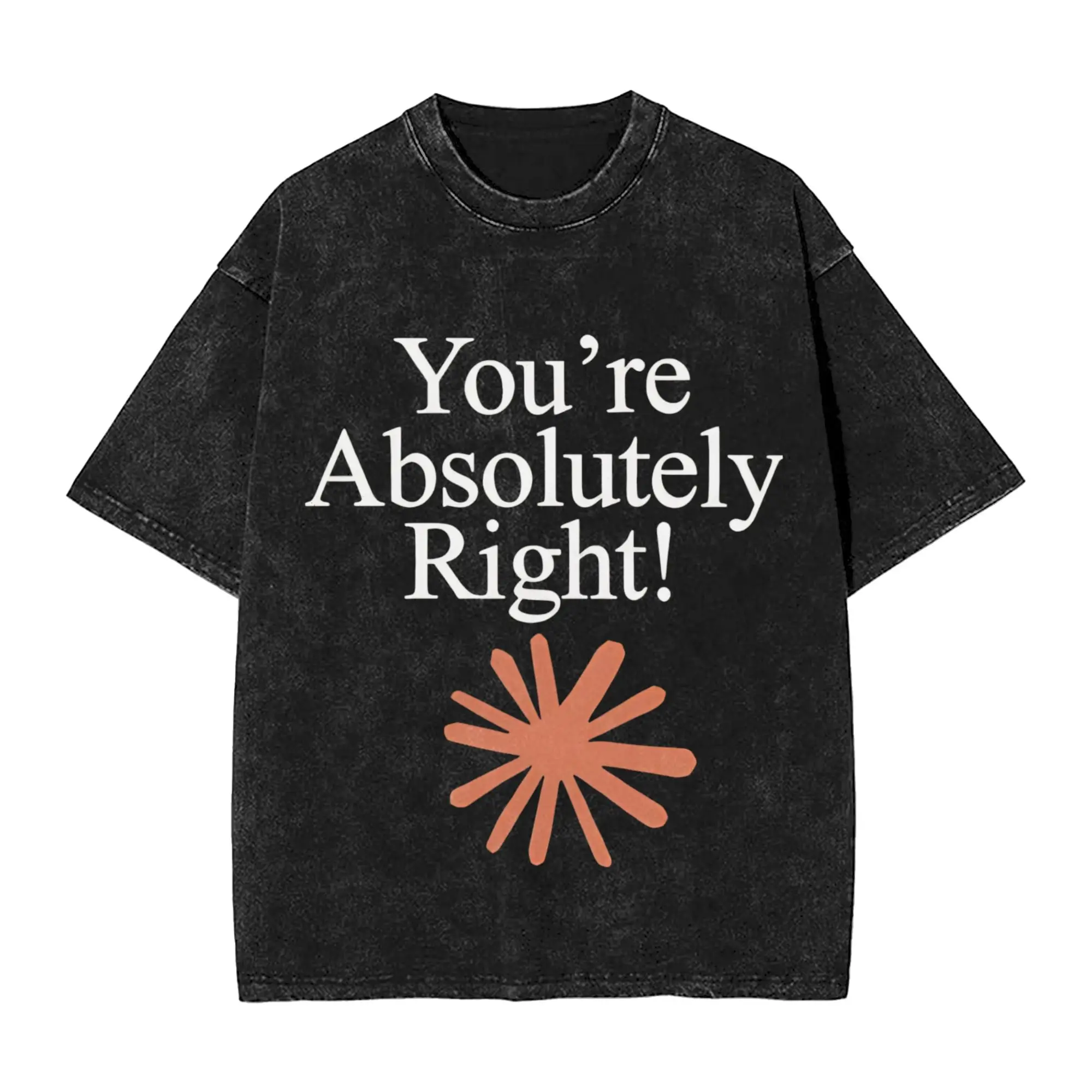 Claude Code You're Absolutely Right  T Shirt Hip Hop Washed Cotton Oversize T-Shirts  Casual for Men Women Streetwear