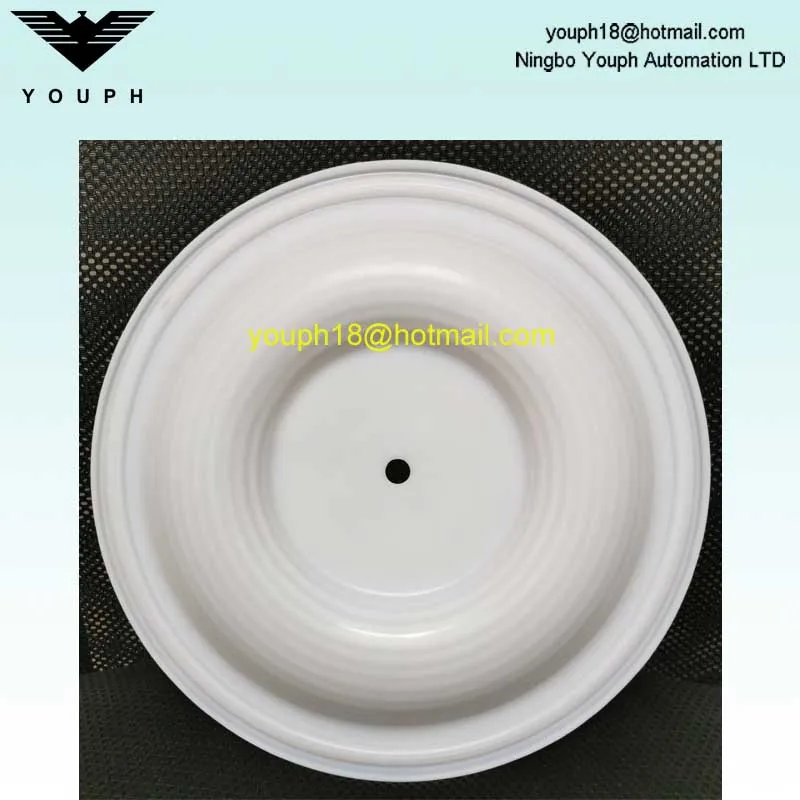 08-1010-55 PTFE Diaphragm fit for Wilden 2