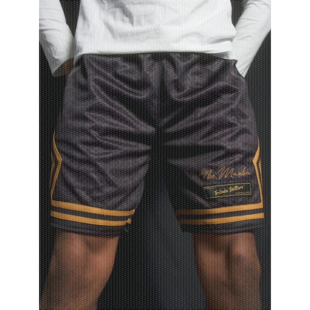 Salute To Basketball Legends, Special Edition Basketball Shorts, 3D Printed Sports Shorts, Quick Drying Basketball Jersey Shorts