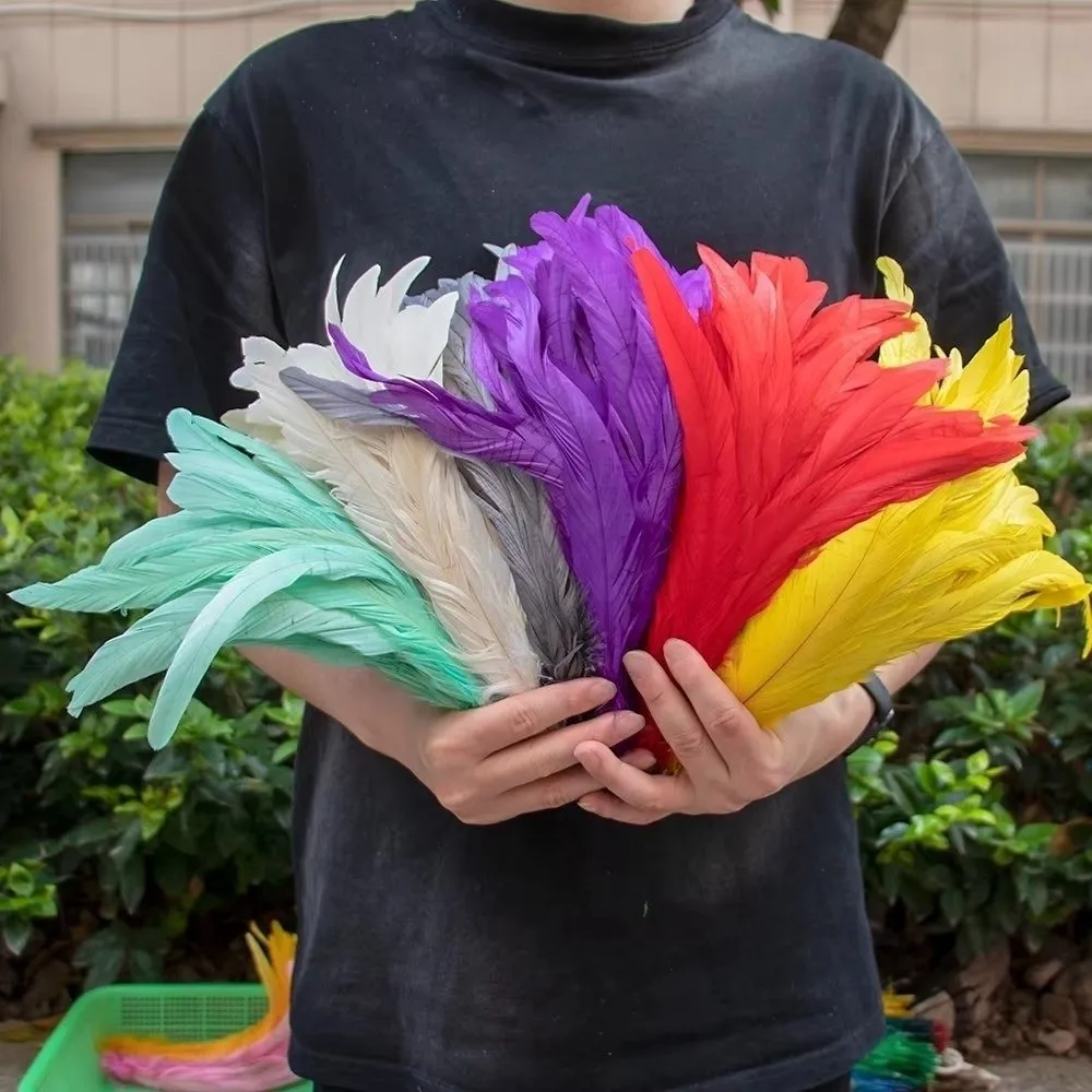 20Pcs Decorative Feather Plumes Rooster Tail Feathers Natural Feather Firm Quill Natural Rooster Feathers Smooth Surface