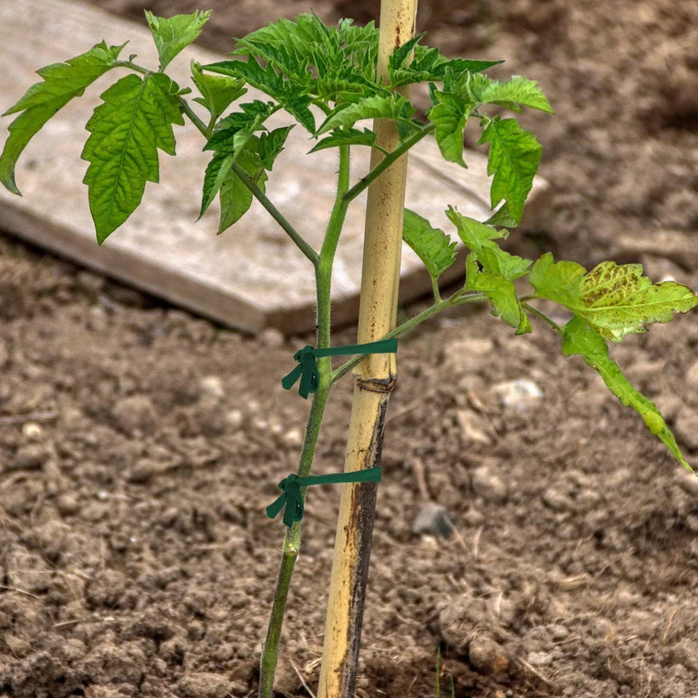 

1 Roll Garden Plant Ties Tree Support Straps For Wind Snow Protection Heavy Duty Wear Resistant Acrylic Fiber Staking Supplies