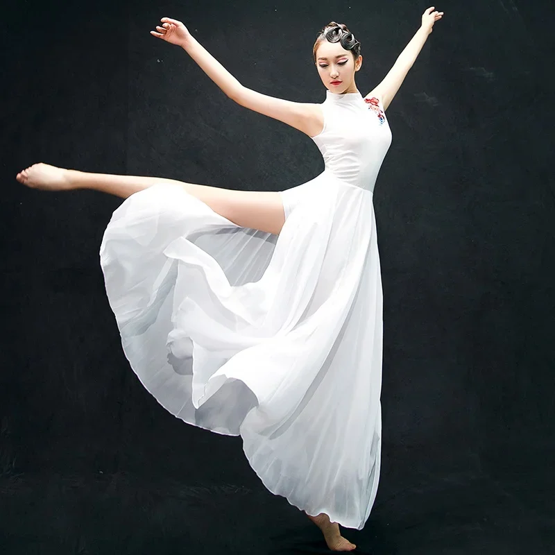 Chinese Dance Wear Adult Girls Classical Dance Costume White Long Chiffon Dress Lyrical Costume Women Performance Costume 12581