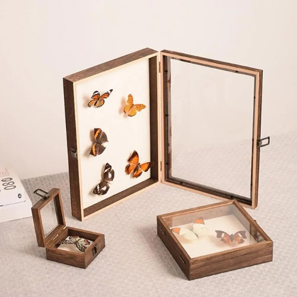 Storage Case Display Case Wood Specimens Display Case with Smooth Edges High-visibility Shadow Box for Storage for Entomology