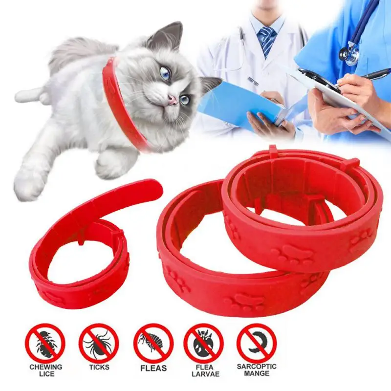 Anti Flea Tick Collar For Cat Small Dog Antiparasitic 8Month Protection Adjustable Kitten Puppy Collar Breakaway Pet Accessories