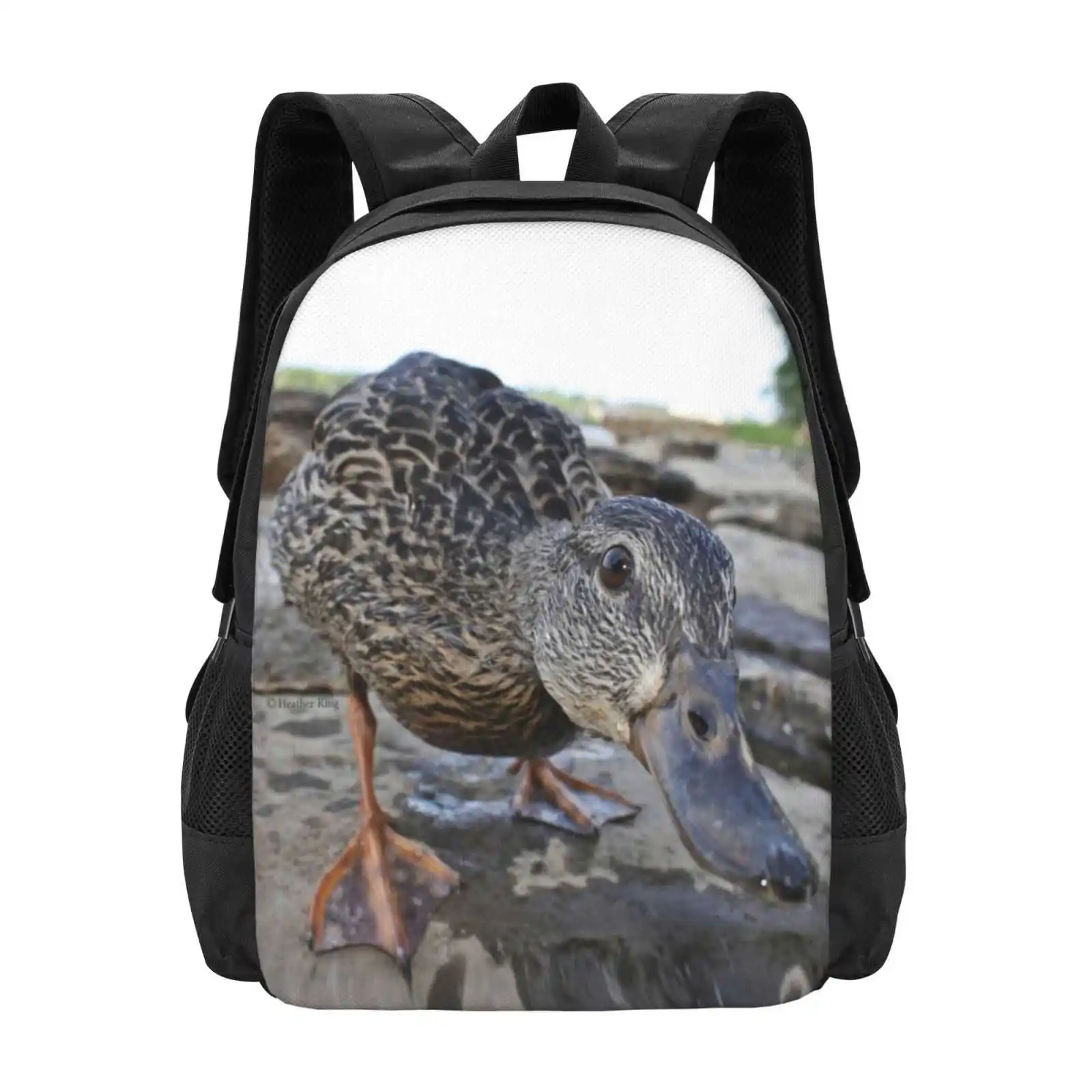 Inquisitive Hot Sale Schoolbag Backpack Fashion Bags Ducks Duckling Nature Animal Water Fowl Bird Lake River Rocks Earth Stone