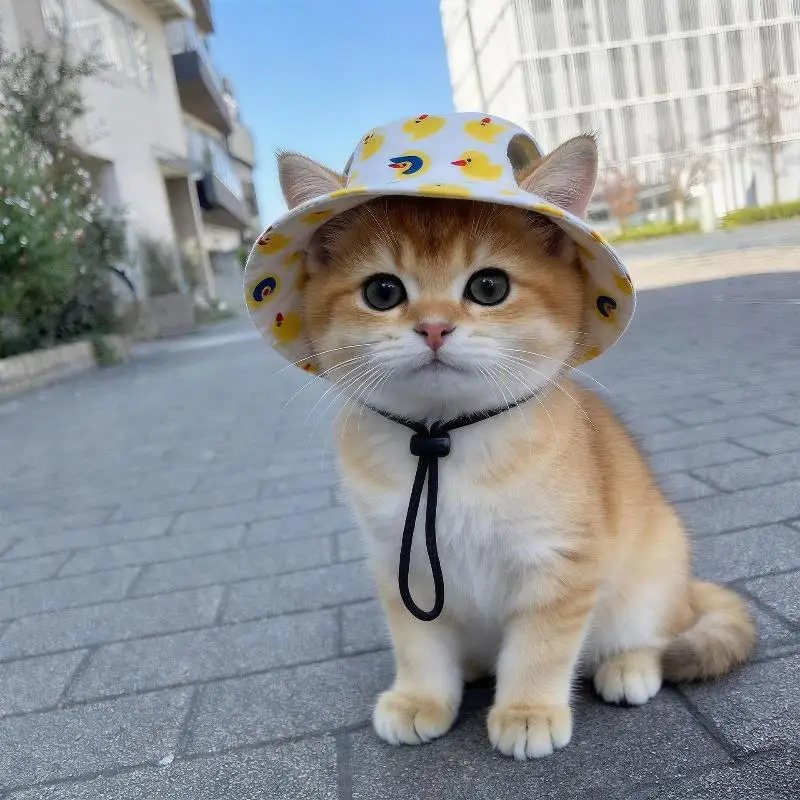 Small Dog Cat Hats Cat Cowboy Hat With Ear Holes Tiny Pet Birthday Party Costume Cat Headwear Puppy Dog Kitten Hat Chihuahua Cap - view 4