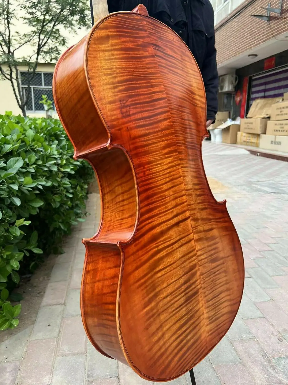 

Strad style SONG Brand "Professional" Master Cello 4/4,Stradivarius Modell#15369