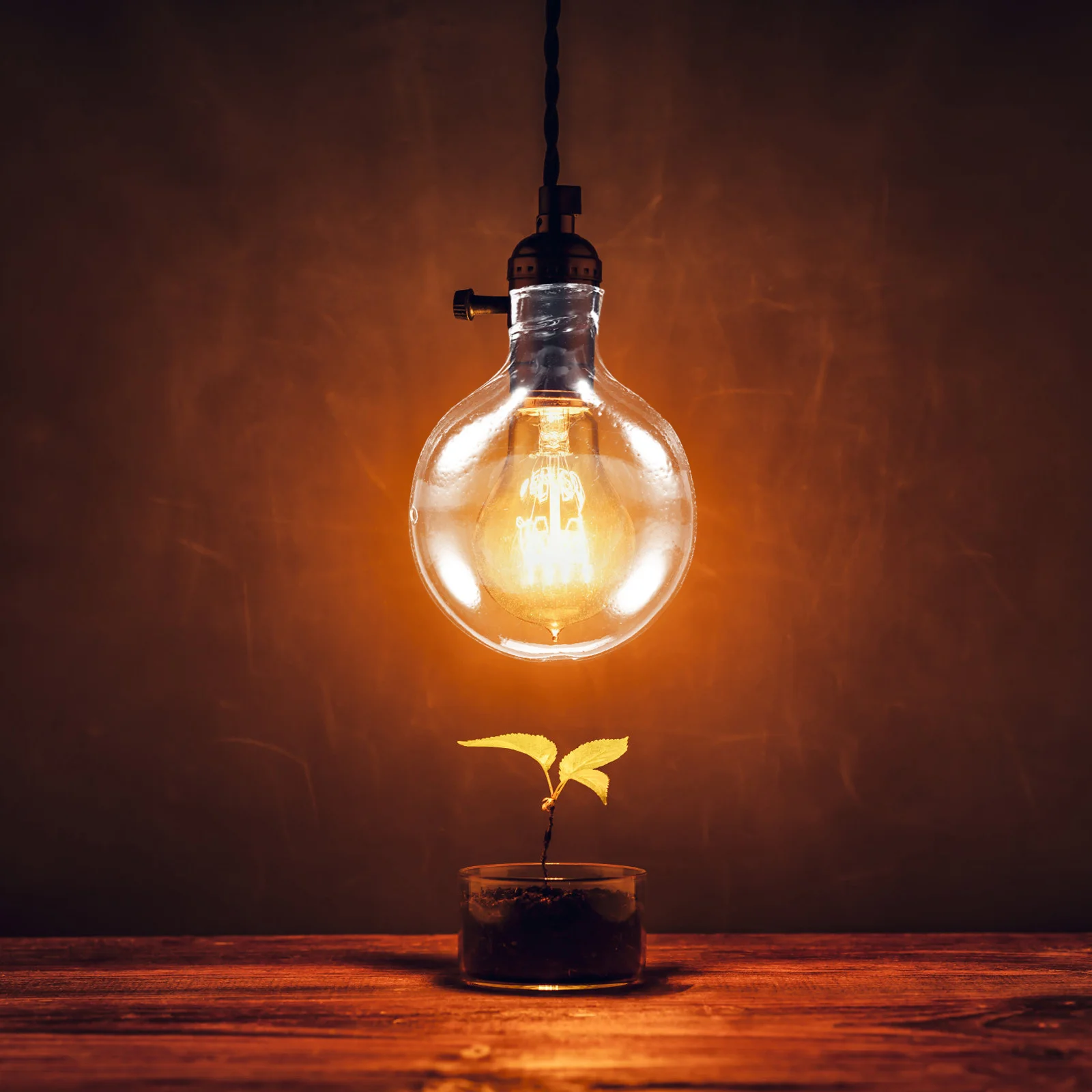 قطعتان من ظلال الزجاج للأضواء المعلقة، عاكس الضوء الحديث الشفاف، بديل لسطح أملس، إضاءة دافئة مثالية لمكتب المقهى المنزلي