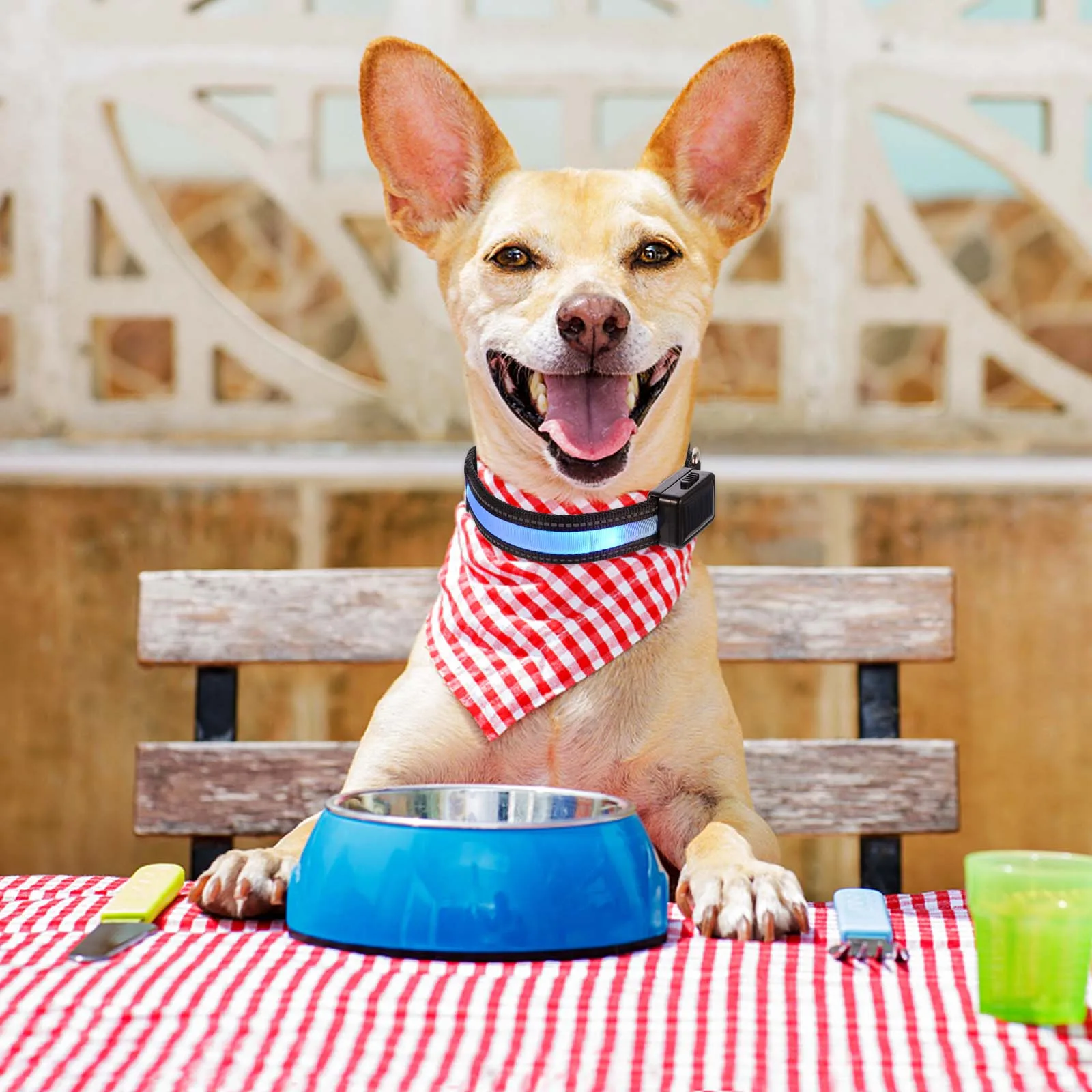 

1Set LED Dog Collar Rechargeable Glowing Pet Night Safety Flashing Light Up Collar USB Charging 3 Modes Pet Supplies