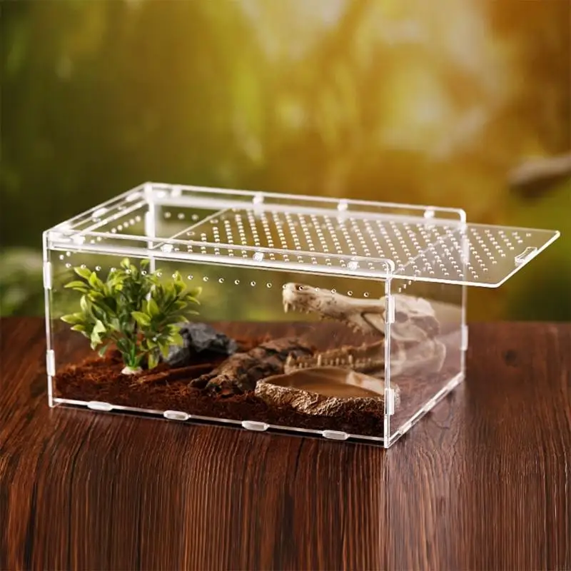 31KA Terrarium Cage for Insect Tarantulas Amphibians Caterpillars Snail Clear Feeding