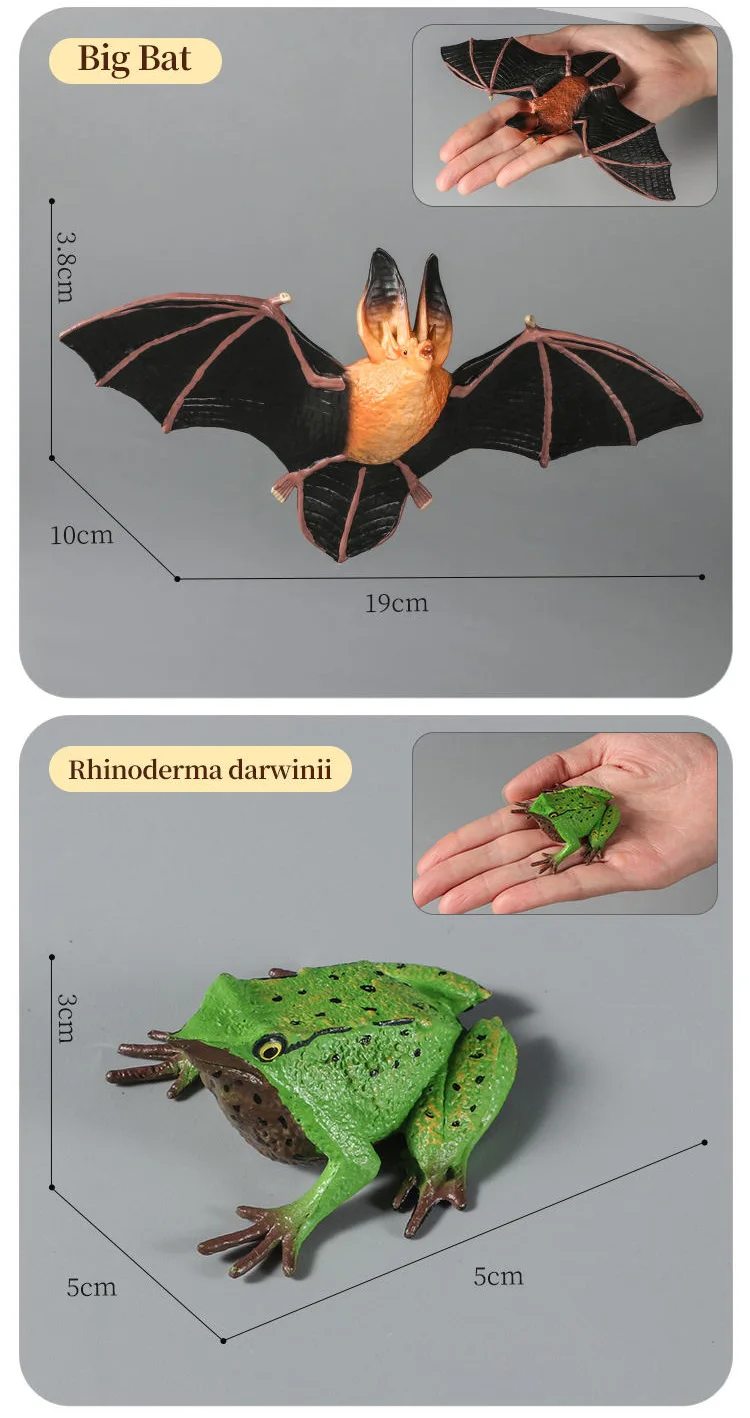 Pädagogisches Insekten-Tiere-Modell-Spielzeug-Set mit Schmetterling, Biene, Libelle, Mantis, Ameise, Schnecke, Actionfiguren für Kinder, Sammlung, Dekoration – Detail 23
