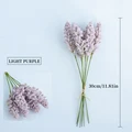 VIOLETA/Violeta