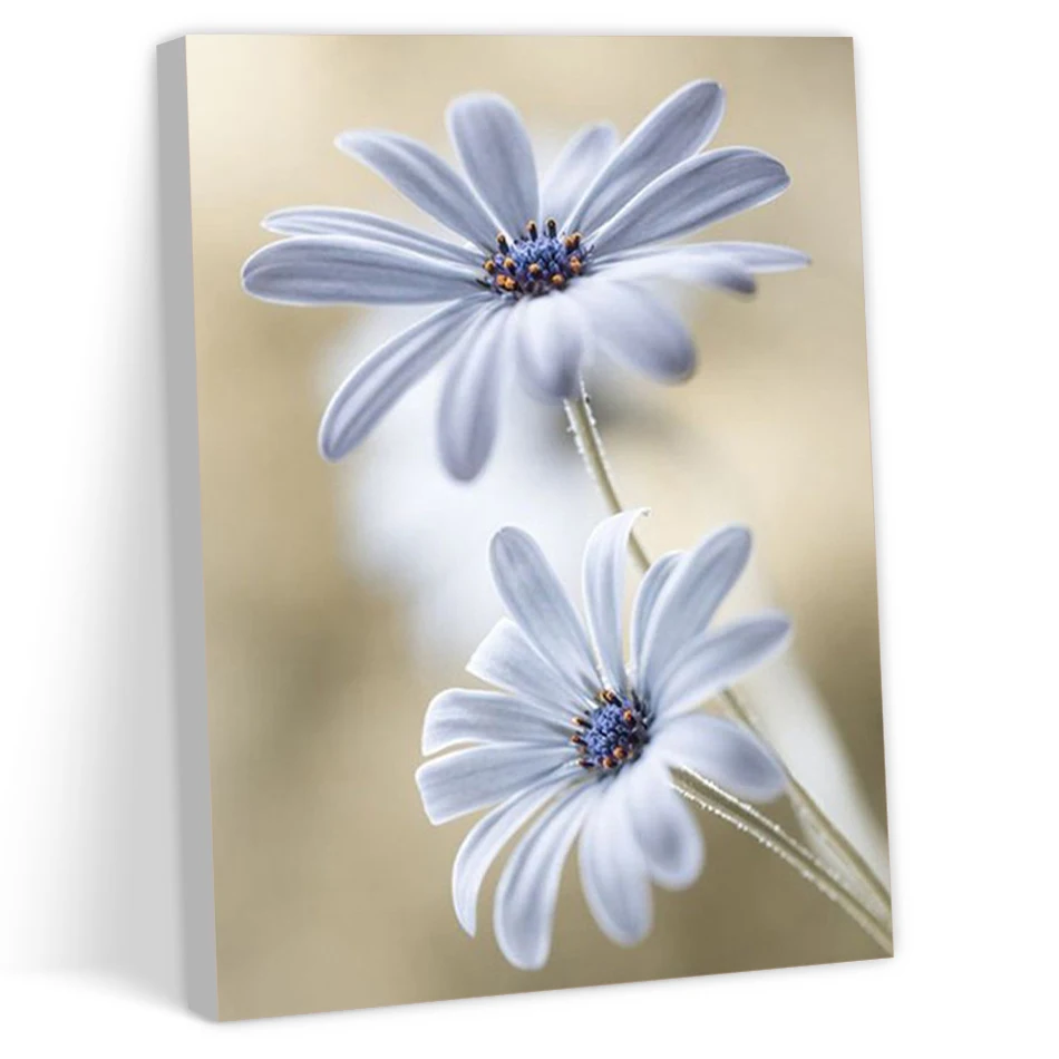 CHENISTORY Simple Painting By Numbers Frame Canvases For Paint Drawing On Canvas Flowers daisy simple Home Decor Draw Unframe